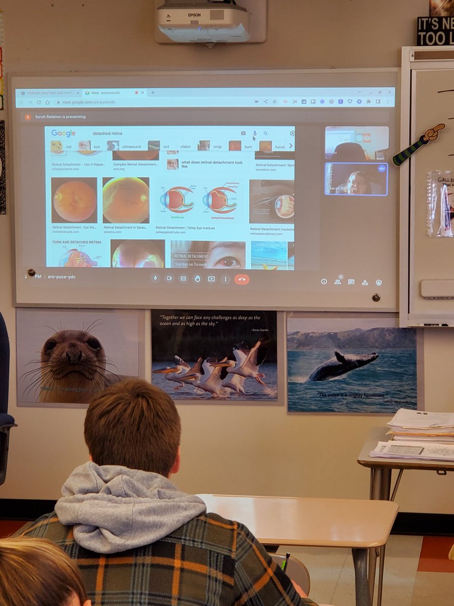 yankeeraider81's tweet photo. A special thank you to Sarah Svetecz (local optician) for the google meets during A&amp;P classes today. Teaching, showing, and explaining the topics of refractive errors, problems moving the eye, and internal sight problems. Great Job! #kkidsalwayslearning https://t.co/eER2944I5v