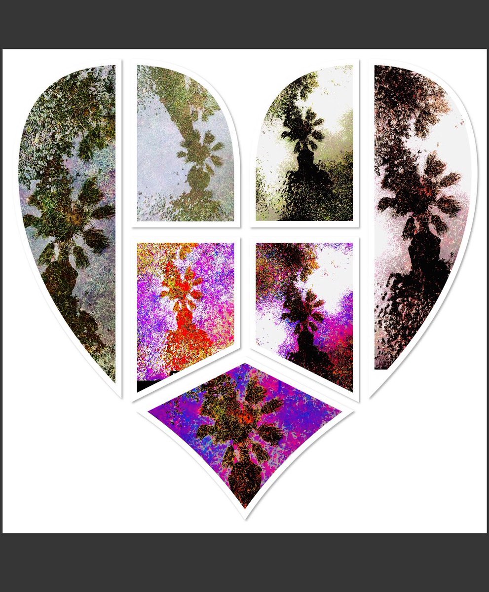JamesWanless's tweet photo. I went to the trees to morph into “Tree Consciousness!” It’s lovely, abundant, peaceful, supportive, productive, beautyfull and squirrelly https://t.co/AiEgevut6O