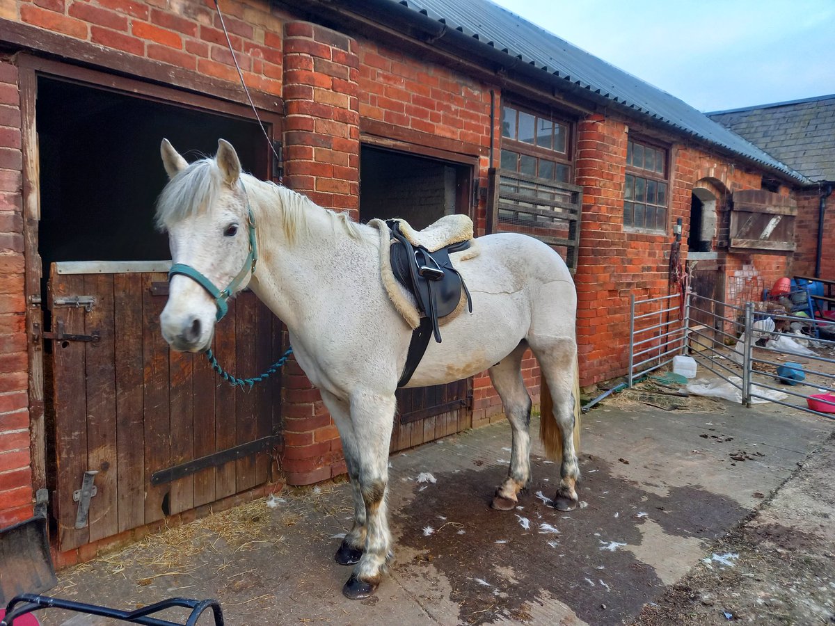 Dr Katie Fielding RN, PhD tweet media