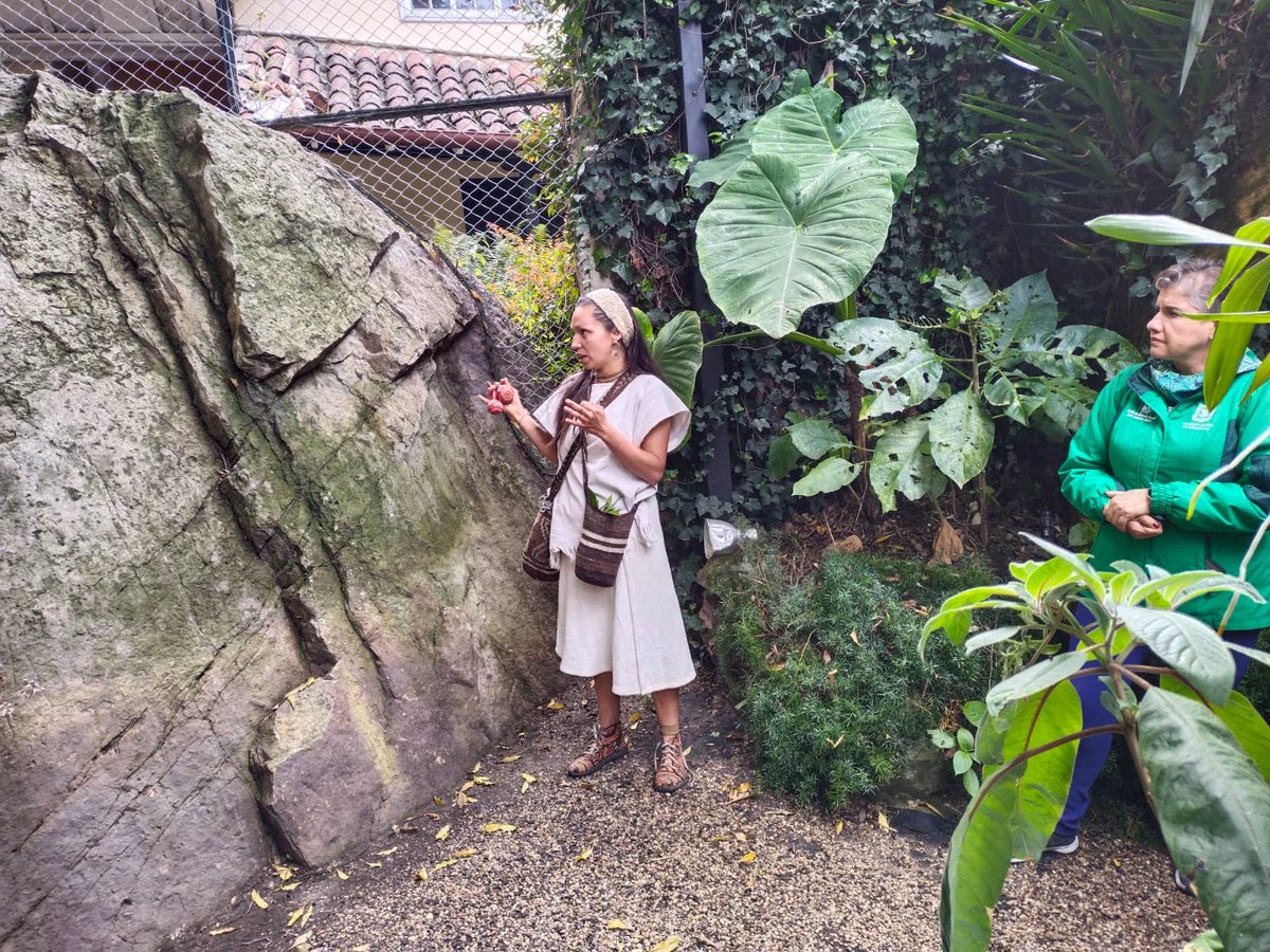 JBotanicoBogota's tweet photo. Ante la piedra sagrada (Kahyka Teusaka), que según el conocimiento muisca conecta con la laguna de Teusacá, la #Cuartaparada de nuestra Ruta nos congrega en El Cóndor🪶, una combinación de saberes y sabores que hace parte de nuestro trayecto.💚🌱🪶 https://t.co/7CNscMS6ef