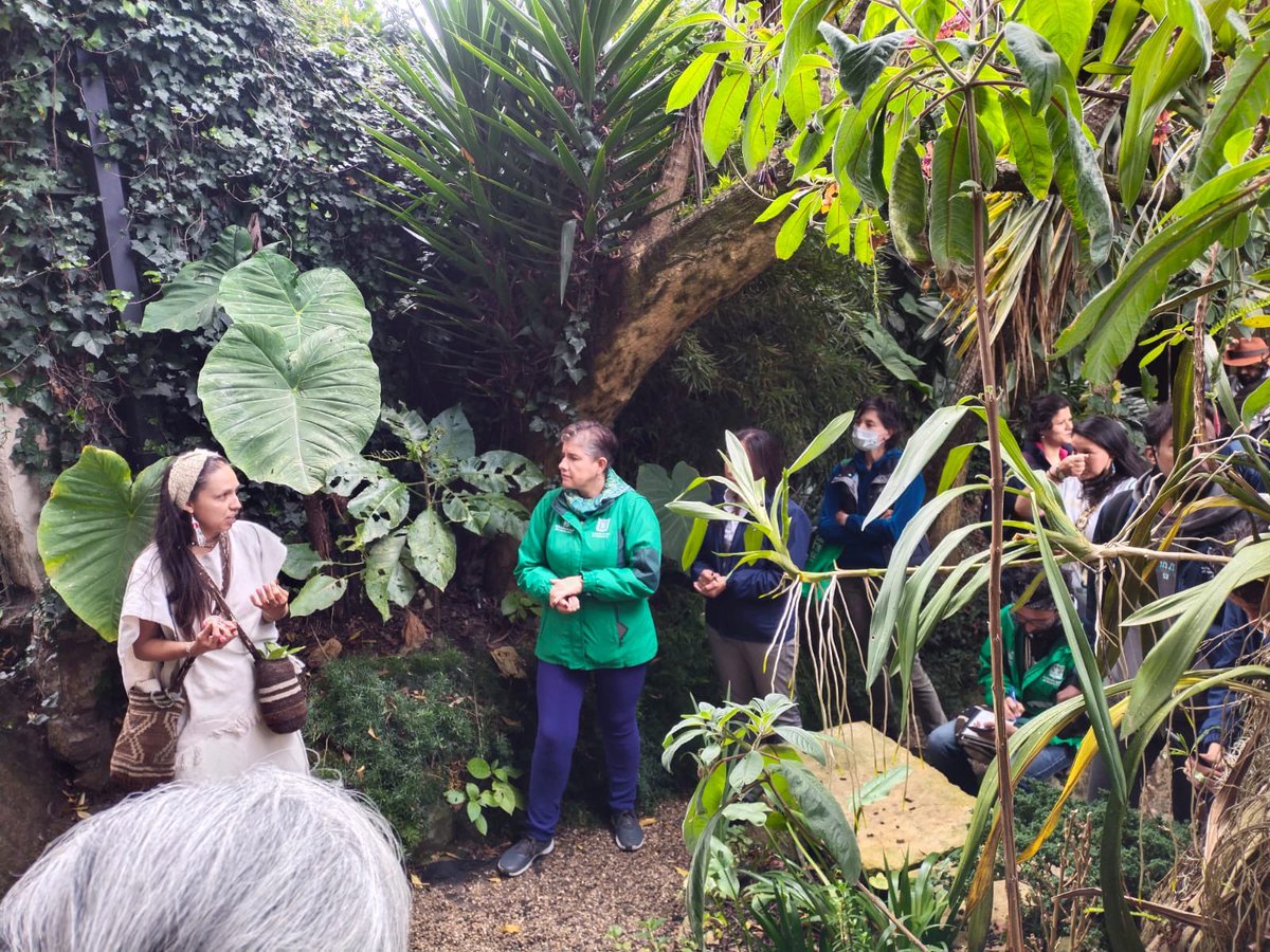 JBotanicoBogota's tweet photo. Ante la piedra sagrada (Kahyka Teusaka), que según el conocimiento muisca conecta con la laguna de Teusacá, la #Cuartaparada de nuestra Ruta nos congrega en El Cóndor🪶, una combinación de saberes y sabores que hace parte de nuestro trayecto.💚🌱🪶 https://t.co/7CNscMS6ef