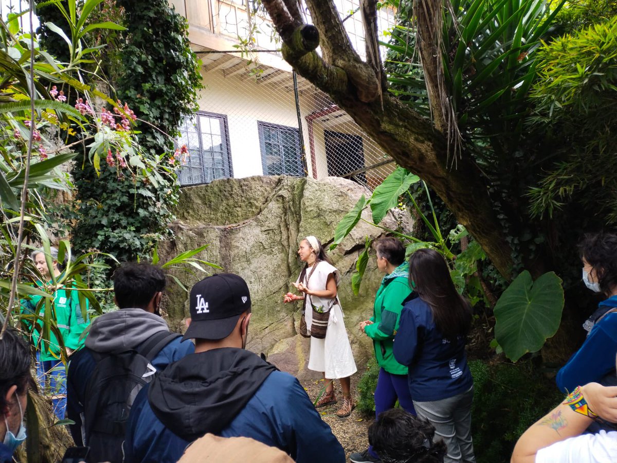 JBotanicoBogota's tweet photo. Ante la piedra sagrada (Kahyka Teusaka), que según el conocimiento muisca conecta con la laguna de Teusacá, la #Cuartaparada de nuestra Ruta nos congrega en El Cóndor🪶, una combinación de saberes y sabores que hace parte de nuestro trayecto.💚🌱🪶 https://t.co/7CNscMS6ef