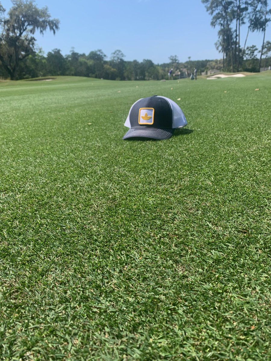 @thesimplothat tweet media