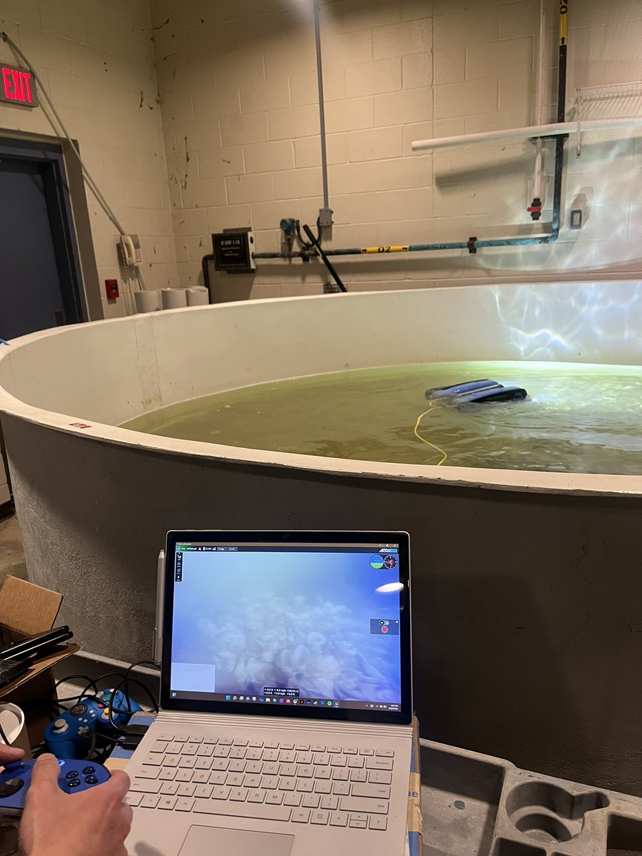 SAIL_HPL's tweet photo. Pictured is student Alan Williams @AlTheScientist testing an ROV drone for future oyster monitoring projects (yes that is an Xbox controller) 🦪🎮 https://t.co/dF7rIf4XlU