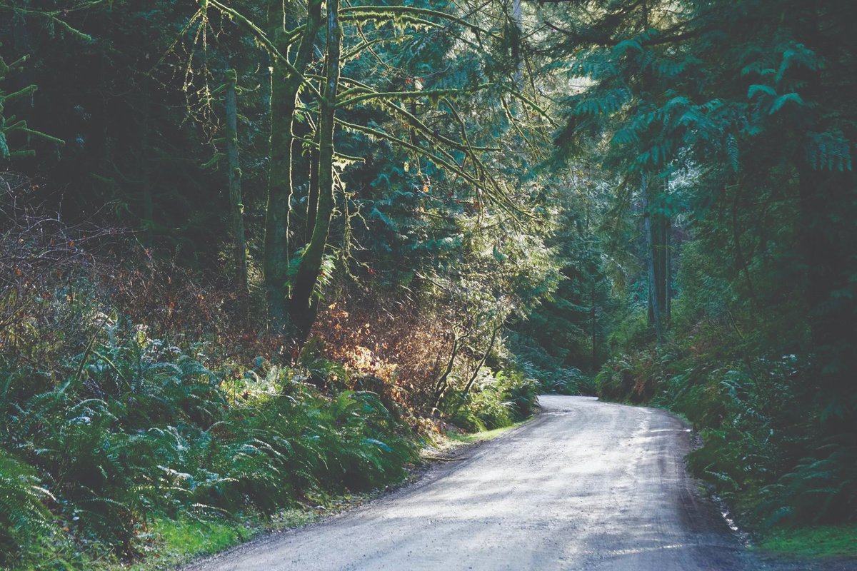 MenHealingOrg's tweet image. Our next #WeekendOfRecovery is Jun 3-5 in beautiful Whidbey Island, WA.

#WOR is a healing retreat for #MaleSurvivors of #SexualVictimization at any age.

Pay What You Can! makes this an incredible opportunity.

menhealing.net/event-4586083