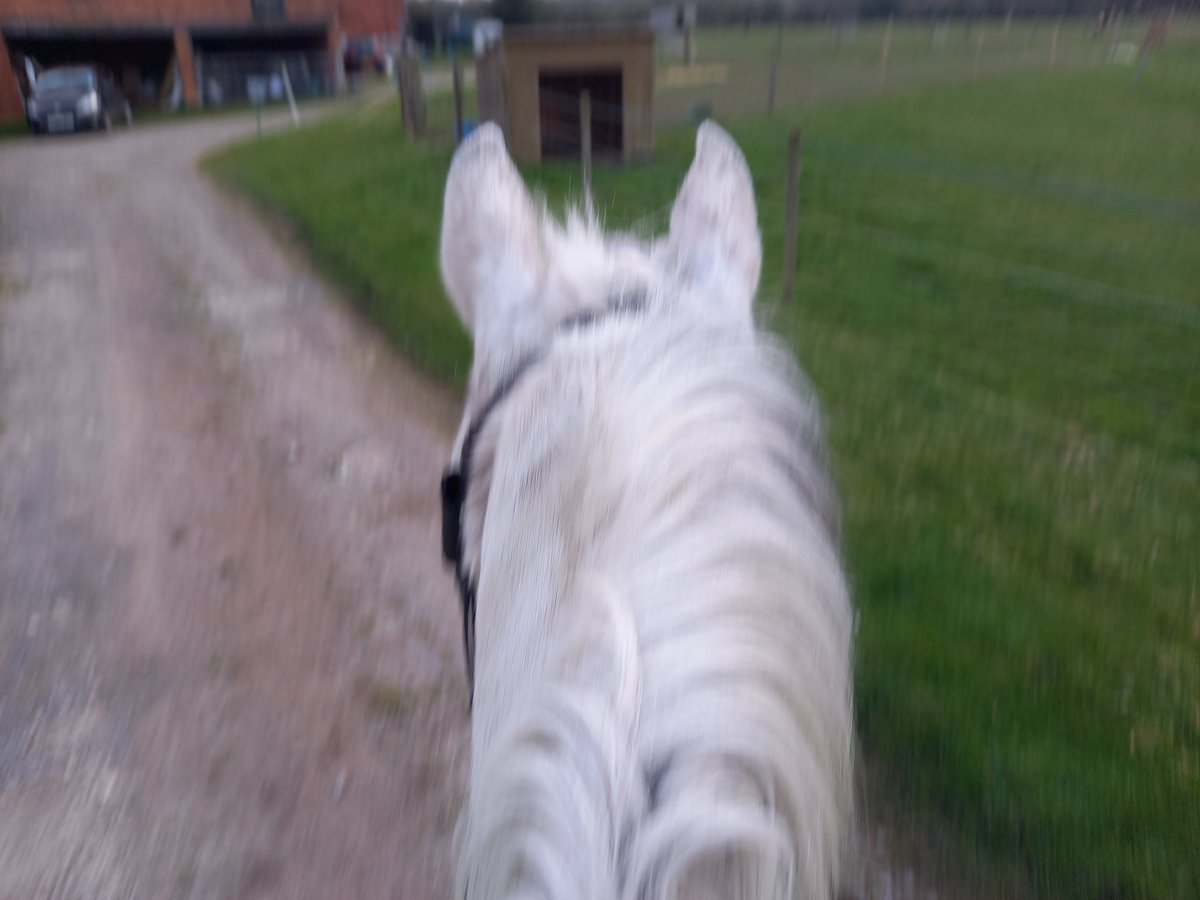 Dr Katie Fielding RN, PhD tweet media