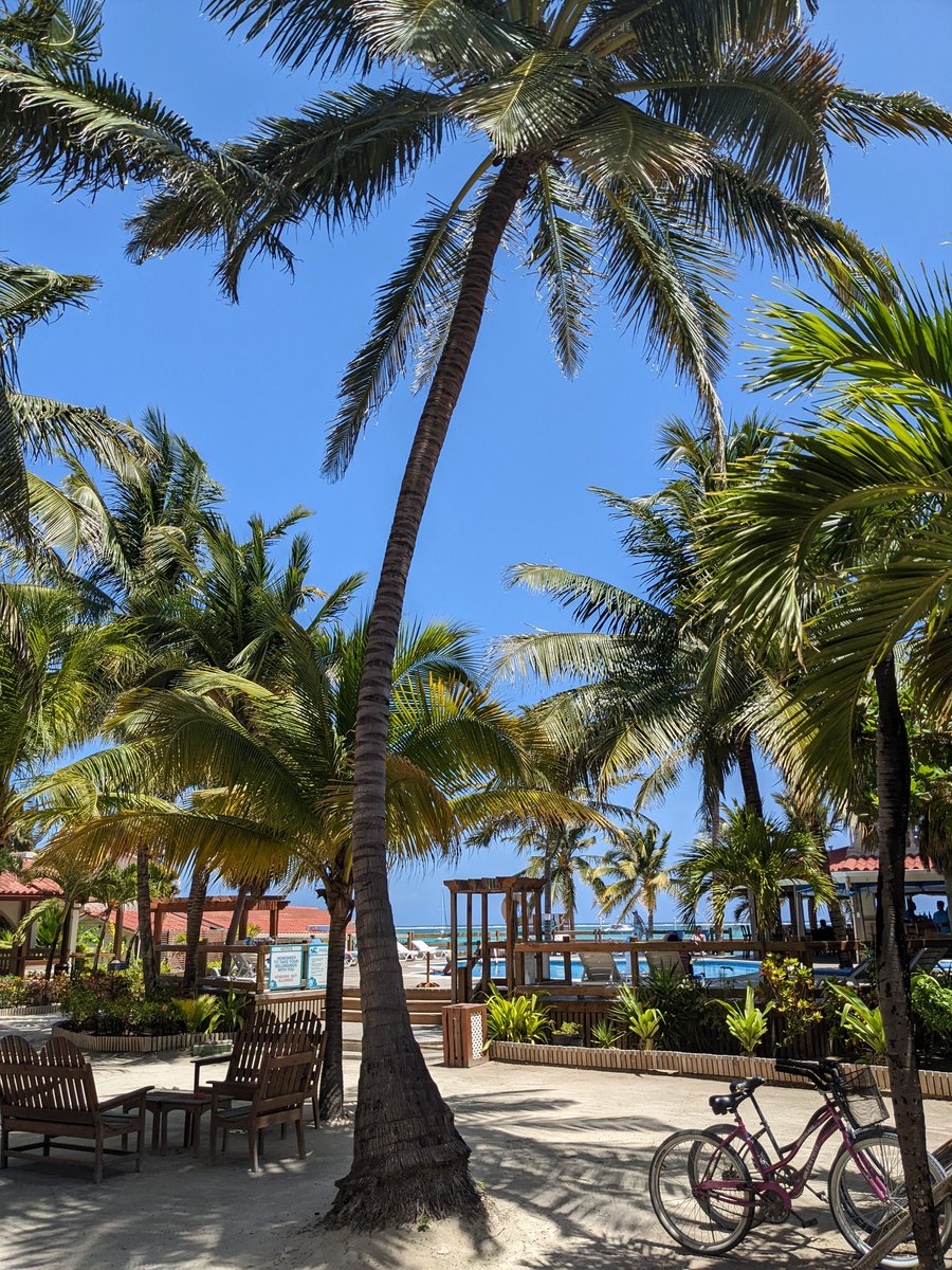 FHSBelize tweet media