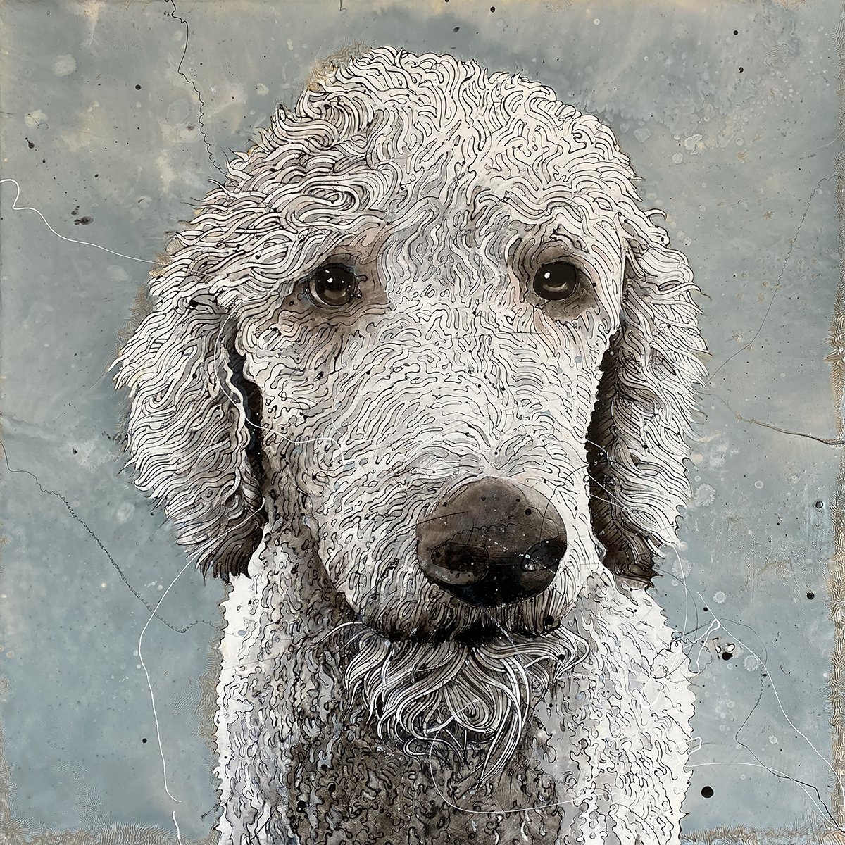 Jimmi Toro tweet media