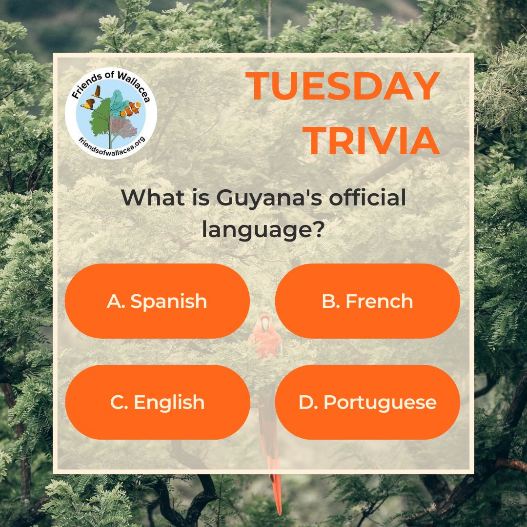 WallaceaFriends's tweet photo. We love genuine connections with local people and opportunities for mutual learning and understanding. 🗣 When you share deeply with others, you create memories and discoveries that last a lifetime. 

Trivia Tuesday: Do you know what the official language of Guyana is? 🇬🇾🤩 https://t.co/w6xXVsWl9j