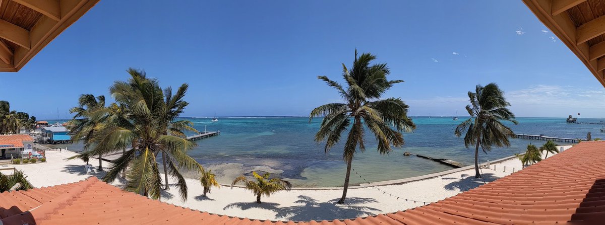 FHSBelize tweet media