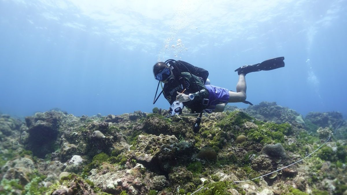 SeaGrant's tweet photo. Fran Castro not only serves as @UOGSeaGrant’s Associate Director for Operations &amp; Development, overseeing #research, #fellowships and more, but she’s also an advocate for protecting coastal ecosystems, like #coralreefs: https://t.co/nvRg9I1ql2 #WomenofSeaGrant #WomenofNOAA https://t.co/CYbF5e6N9r