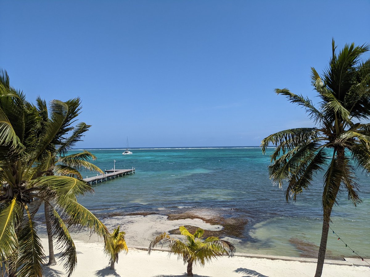 FHSBelize tweet media