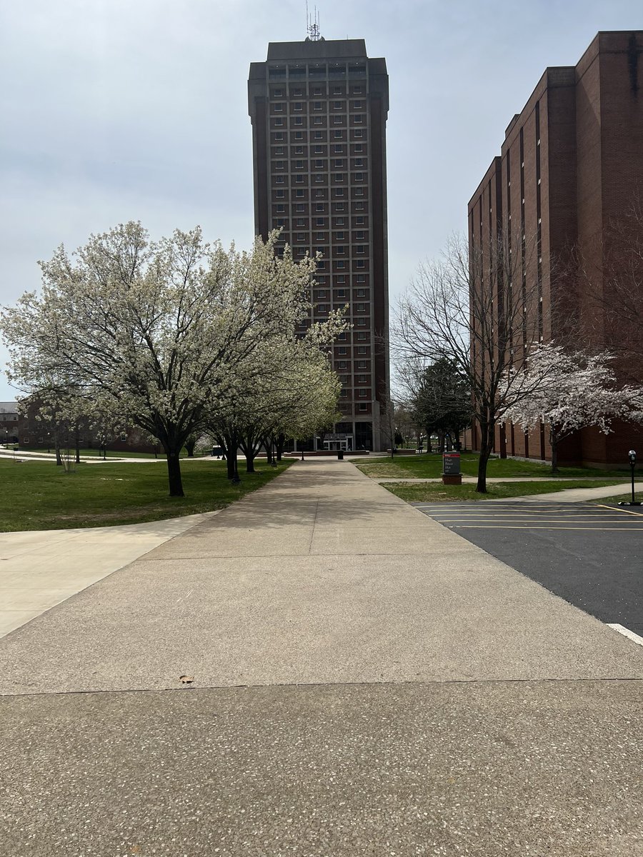 paytonchreene's tweet photo. The tallest dorm on campus @MJ020703 #smmwku #wku #dormlife https://t.co/yMJEu8bqUc