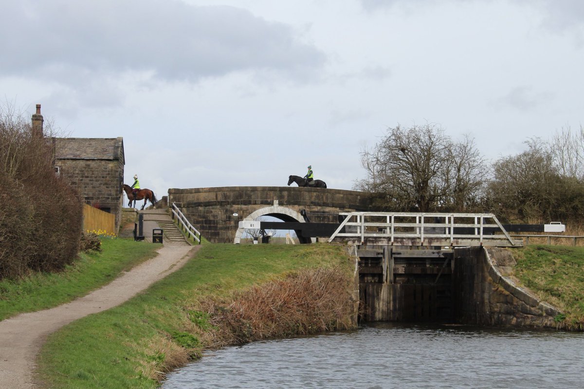 Just canal bridges tweet media