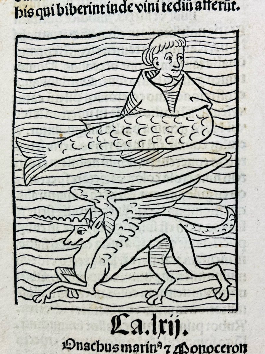 Huisvanhetboek's tweet photo. Zeemeerminnen in een boek uit ca. 1491? In de Hortus Sanitatis, een Latijnse encyclopedie door Jacob Meydenbach, staan diverse zeemeerminnen en zeemeermannen. #InternationalMermaidDay #zeemeerminnendag #zeemeermin #huisvanhetboek #zeemeerman https://t.co/nELHKadqBC