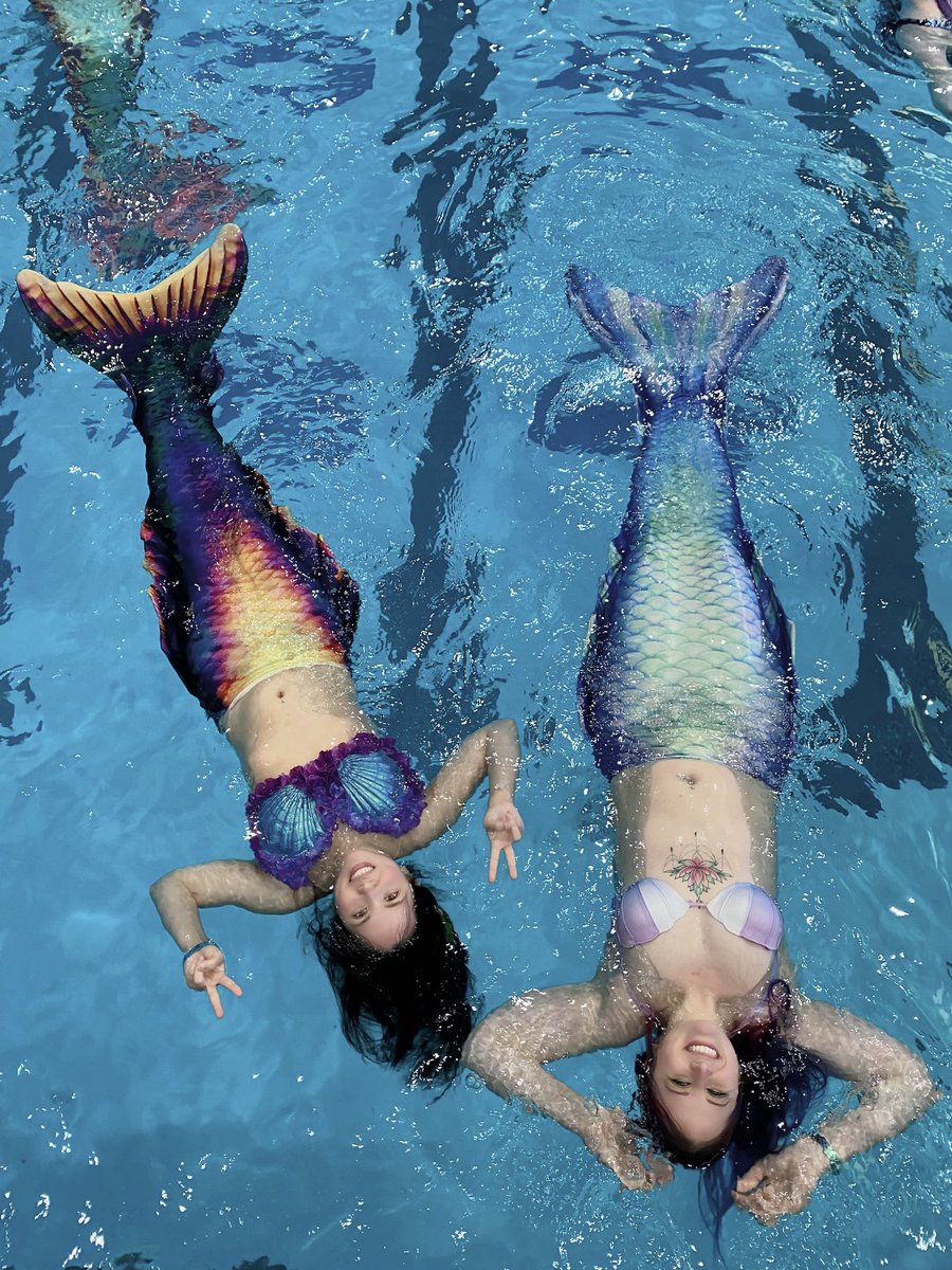 Antipode Bellydance tweet media