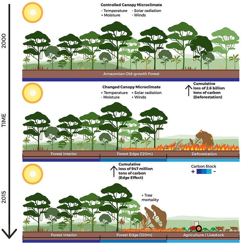 Defesa TESE (PGSER) - CELSO HENRIQUE L. SILVA JUNIOR - 'Remote sensing quantificat. carbon losses in fragment. tropic. forests at multip. geograp. scales' @inpe_mct @celsohlsj 
Em 31/03 (qui-f.) às 9h por videoconf.: meet.google.com/uwd-mdrn-tdu 
Luiz Aragão, Liana Anderson - orients.