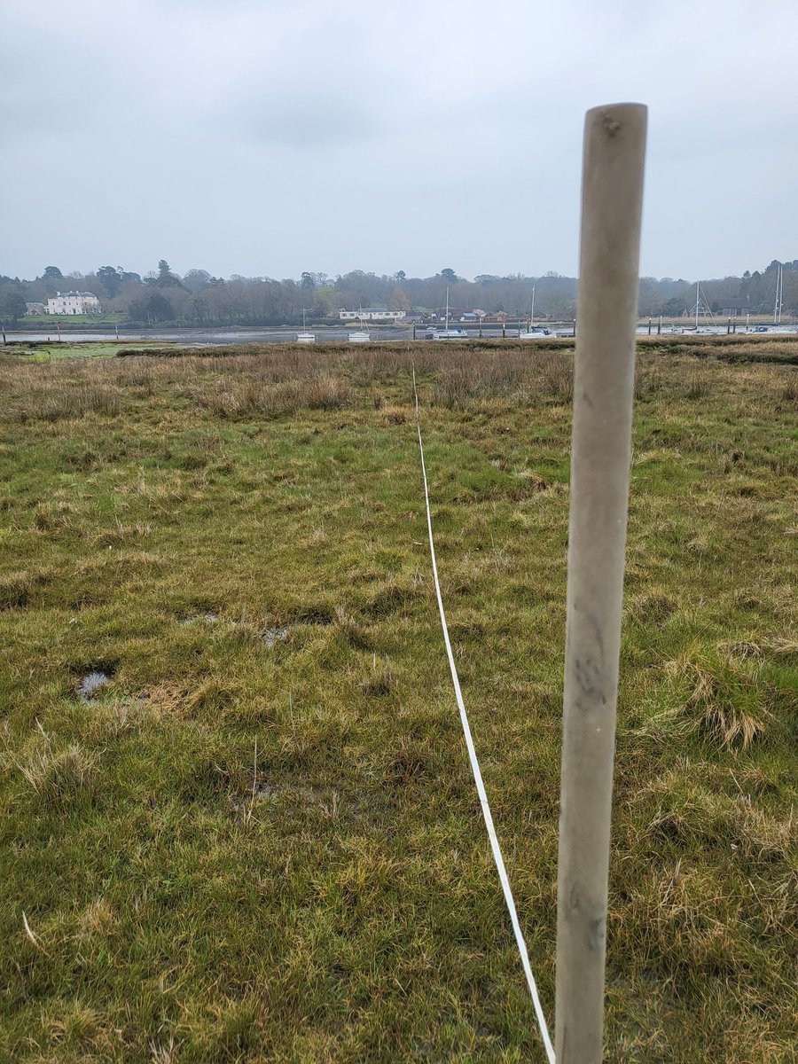 Great to be back out on the marsh for more surveys for my #PhD with <a href="/Fiona_Woods98/">Fiona Woods</a>. Today we were focusing on #saltmarsh #biodiversity, #shoreline profiles &amp; #birds.