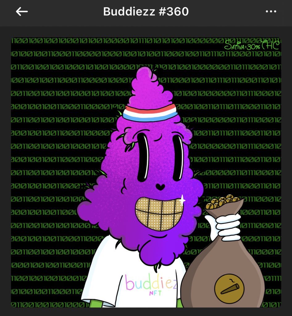jimbob_nft's tweet photo. @Buddiezz1 is less than 116 away from selling out their mint!

Do not sleep on this sick cannabis PFP, with long term utility, a trustworthy team and amazing community!

#BUDDIEZZGANG 

mint: https://t.co/OR5Se6vJCE
discord: https://t.co/nMq6Wo3rCv https://t.co/HhsNywrKxo