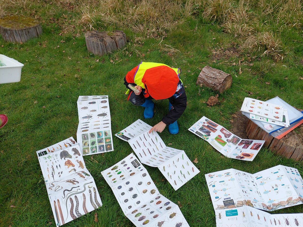 Eagles and Woodpeckers had a brilliant school trip to <a href="/FoxburrowFarm/">Foxburrow Farm</a> learning how plants and animals adapt to their habitats in the UK and comparing this to the Amazon Rainforest. They also learnt why we must protect these habitats #ks2 #outdoorlearning