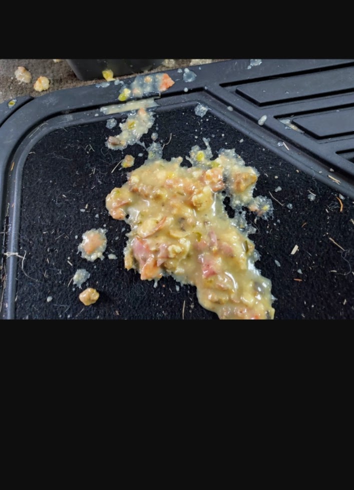 AaronCyganik's tweet photo. Uber ignoring a reimbursement fee and not doing anything to help me out after a rider got sick in my vehicle and I had to pay over $100 out of pocket my kids ride in my car and now they ignore my messages pretty low in my book for a company to do that https://t.co/OK9E7BI1Vy https://t.co/E6fZgC3gvo
