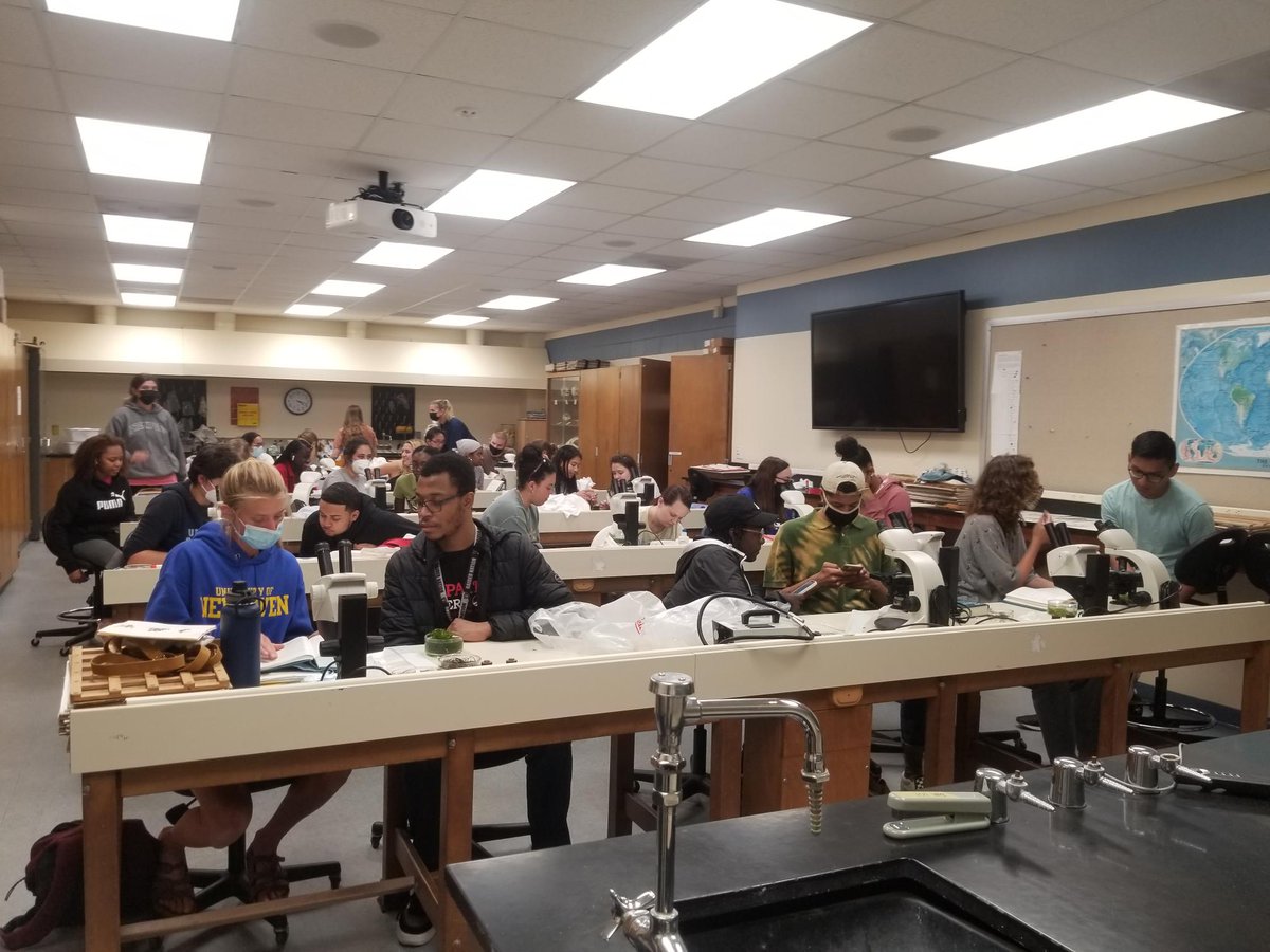 CofCSNES's tweet photo. Yesterday, students involved in the SCAMP program at CofC took a field trip over to our marine laboratory, where the students helped identify and press different algae samples with Dr. Heather Spalding's Phycology lab! #cofcssm #cofcscamp #cofcbiology https://t.co/g05UtaRwDT