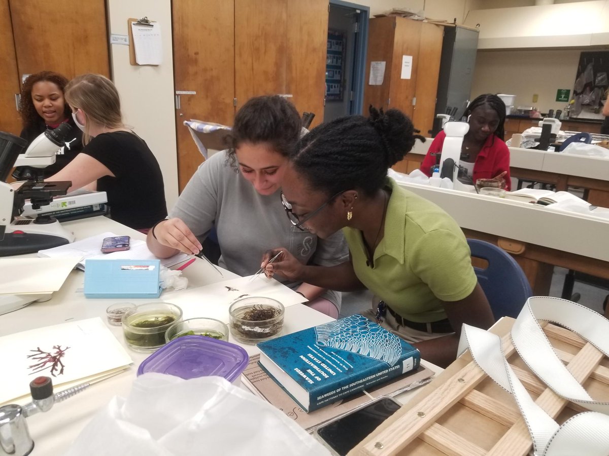 CofCSNES's tweet photo. Yesterday, students involved in the SCAMP program at CofC took a field trip over to our marine laboratory, where the students helped identify and press different algae samples with Dr. Heather Spalding's Phycology lab! #cofcssm #cofcscamp #cofcbiology https://t.co/g05UtaRwDT