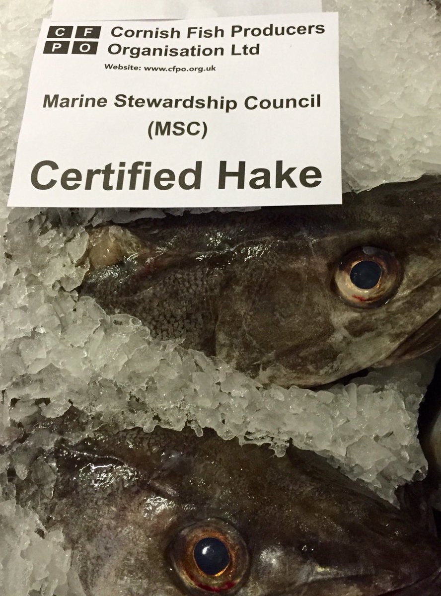 NewlynFishing's tweet photo. Very Attractive #MidweekMix of #FreshCornish Quality to tempt #Buyers at #WedAuction as โStelissaโ lands #CornishHAKE HaddockโTurbotโMonkfishโBrillโRayโโGurnard ect! @DirectFish @StevensonNewlyn @CornwallSeafood @Ryan_Davey1986 @Cornishfpo https://t.co/NA4pZQbvlj