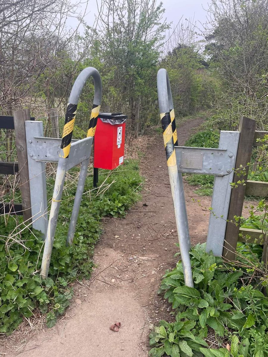 HarlowGP's tweet photo. Our prospective councillor for Old Harlow, Yasmin Gregory went for a short run and was not best pleased to see her beloved Harlow in this way!
We in the Harlow Green Party believe the residents of Harlow deserve better than this!
Make sure you're registered to vote on 5 May! https://t.co/YuYEHHHjVs
