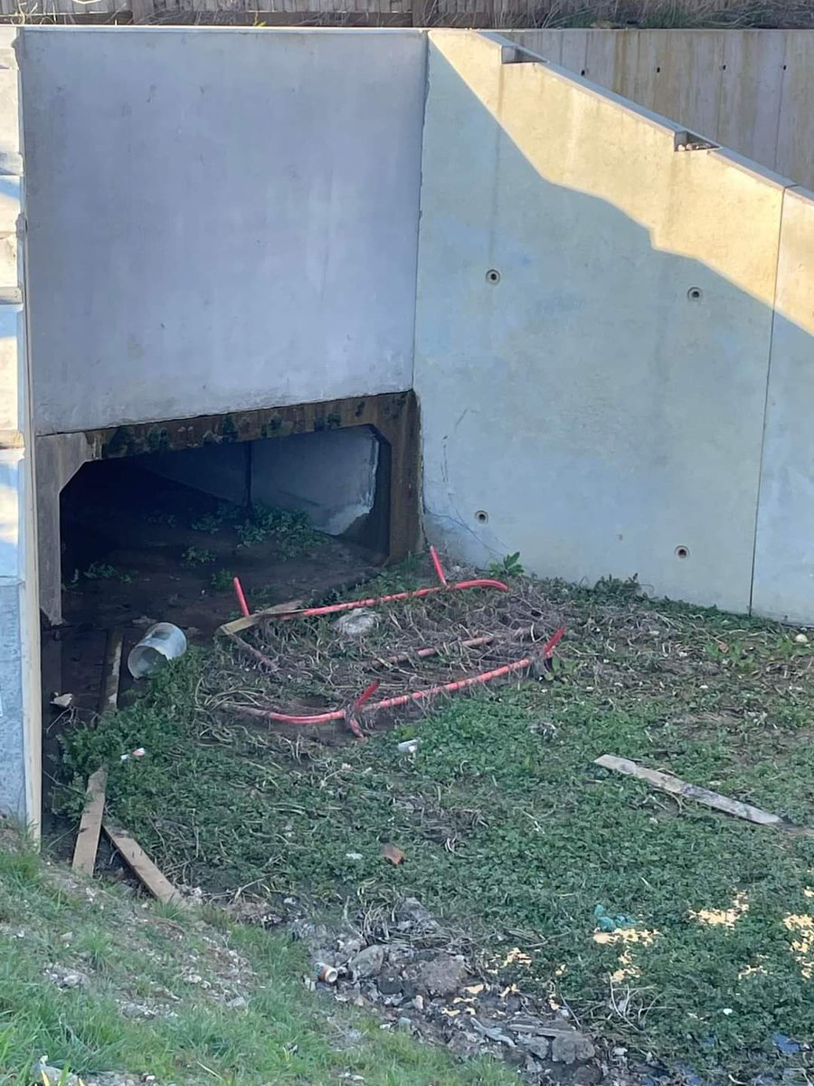 HarlowGP's tweet photo. Our prospective councillor for Old Harlow, Yasmin Gregory went for a short run and was not best pleased to see her beloved Harlow in this way!
We in the Harlow Green Party believe the residents of Harlow deserve better than this!
Make sure you're registered to vote on 5 May! https://t.co/YuYEHHHjVs