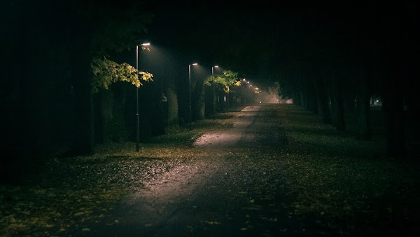 zigmarillion's tweet photo. You resonate with the night?

"Streets of Solitude "
Floor 0.25 $ETH 

https://t.co/SfA955uiYr https://t.co/wCHAiQdvii