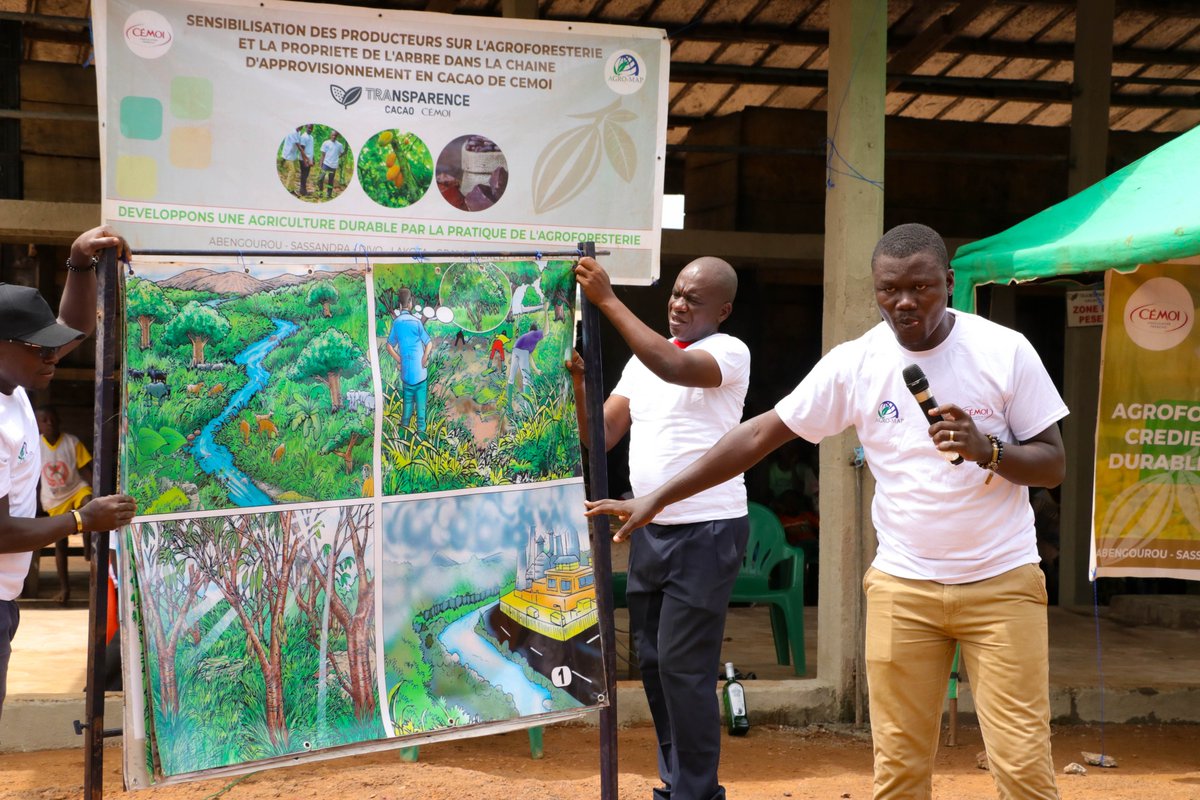 agro_map's tweet photo. #sensibilisations #producteurs 
✅La promotion de l’#agroforesterie et des bonnes pratiques agricoles ;
✅ La vulgarisation de la nouvelle politique forestière notamment le nouveau code forestier et la propriété de l’arbre ; 
✅ La promotion de la #reforestation communautaire https://t.co/mAexwCNUND