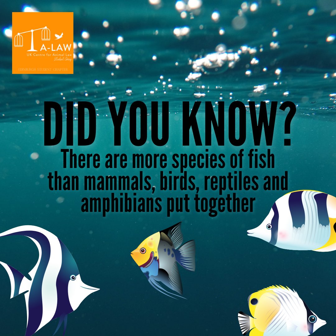 Did you know?

We will shortly be announcing our next event! Keep your eyes peeled for more details, and perhaps this fact might give you a clue as to what we'll be exploring...

😄🐠🐟🦀🦐🦑🐙