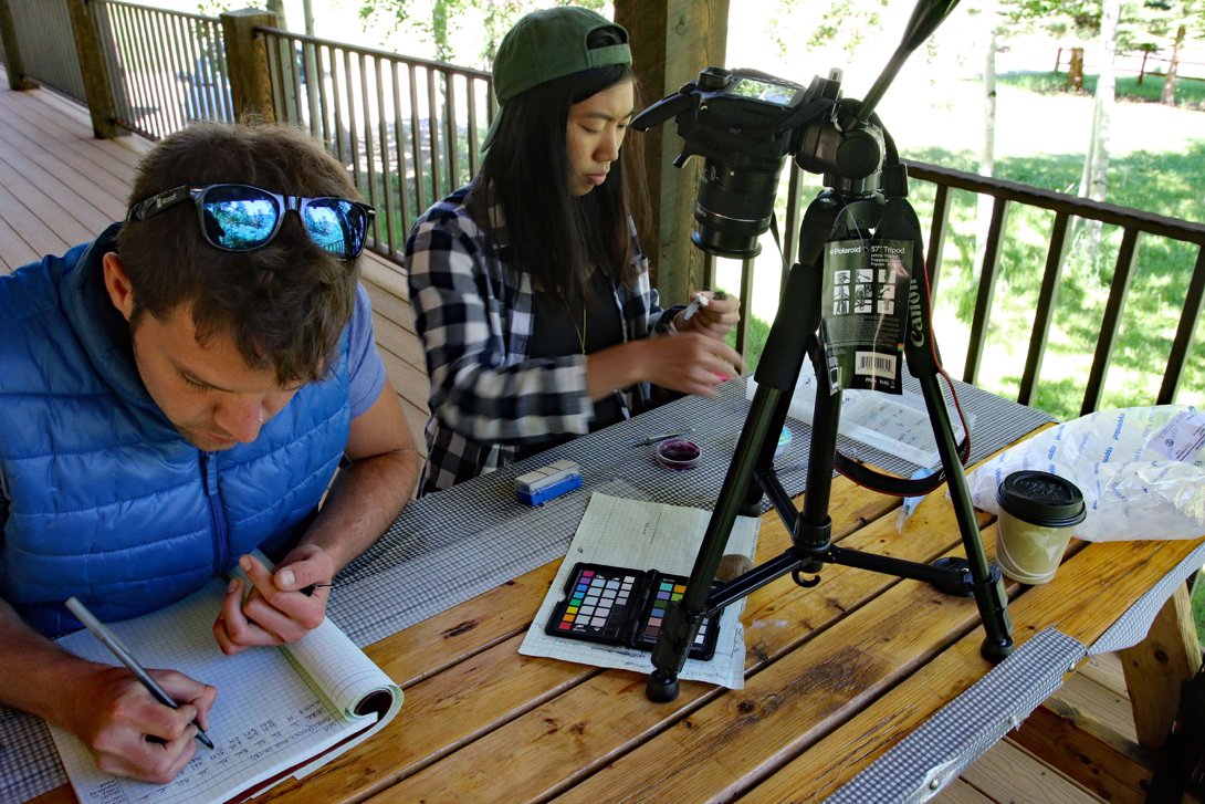 The Whiteman Lab tweet media