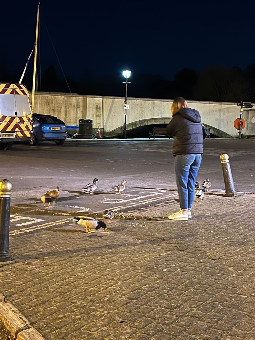 aimssaunders's tweet image. pub nights out only mean one thing, feed the ducks