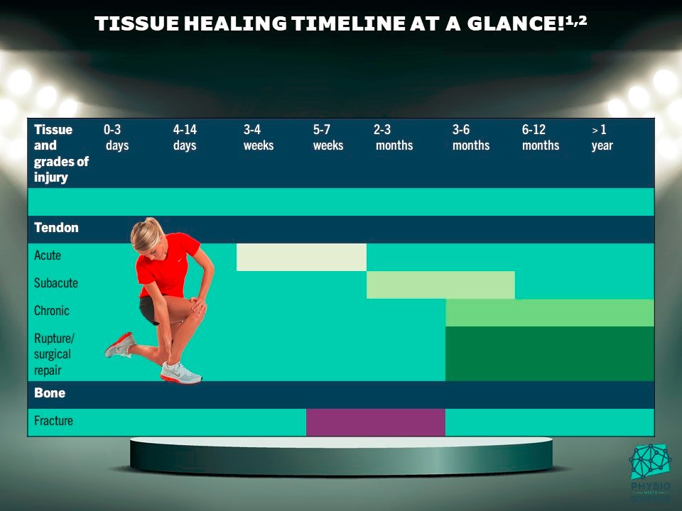 PhysioMeScience's tweet photo. TISSUE HEALING TIMELINE AT A GLANCE!

👀👀👇👇 https://t.co/KZ7sMx2Qfp