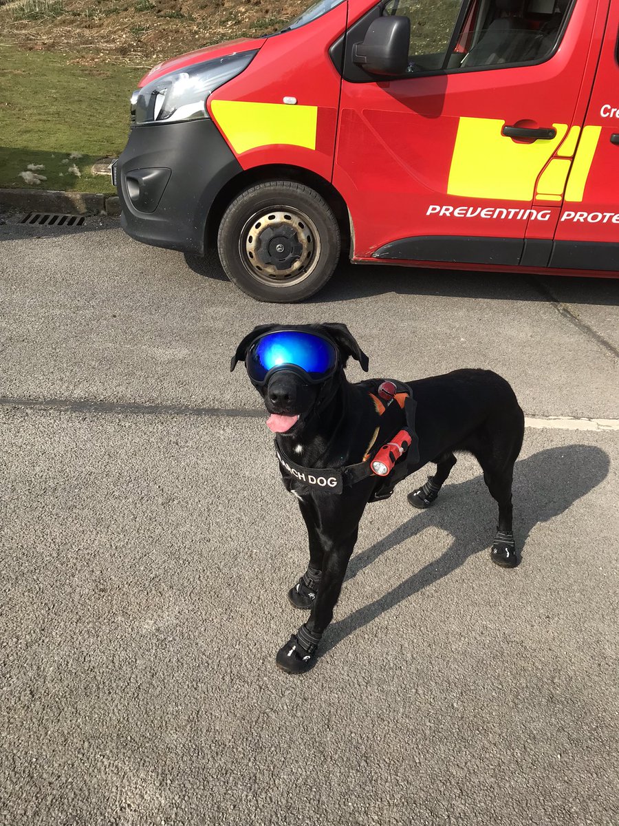 TWFRS_USAR_Dogs's tweet photo. @FormulaJessEd @martinward71 @NEAS_HART @Tyne_Wear_FRS @USAR_Capability It’s been a Ruff day 🐾🐾 https://t.co/fIUSWI5fBV