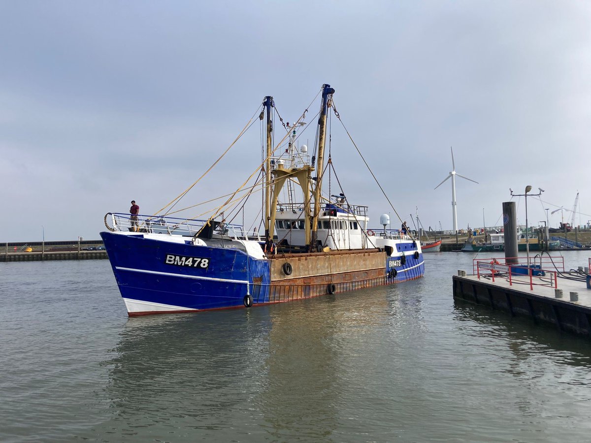 LuytGroep's tweet photo. Dinsdagavondvertrek van 🇬🇧#scalloper 'Danielle' BM-478 uit de haven van #DenOever na reparatiewerk
@LuytGroep:
✔️rvs kimkoeling aangelegd voor beide generatoren
✔️rvs lenssysteem inclusief rvs lensstraat van eigen fabricaat
✔️herstel huidschade machinekamer
✔️'knippen & scheren' https://t.co/mDoicHVpyn