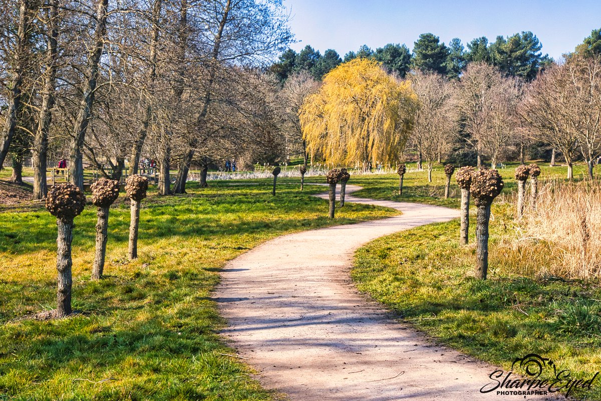sharpe_eyed_pho's tweet photo. "Into the forest I go, to lose my mind and find my soul" - John Muir
Markehall Estate in Essex, what a stunning place!!
#markshallestate #essex #visitessex #countryside #Tree #photo #photooftheday #nature #NaturePhotography #countrypath https://t.co/zbaOrVctYA