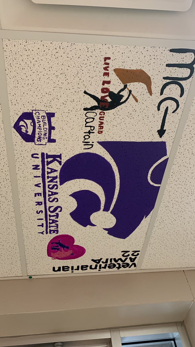 TonkaAVID's tweet photo. And another one. #SeniorTiles #AVID2College #AVIDRocks https://t.co/rcl7JBjUx3