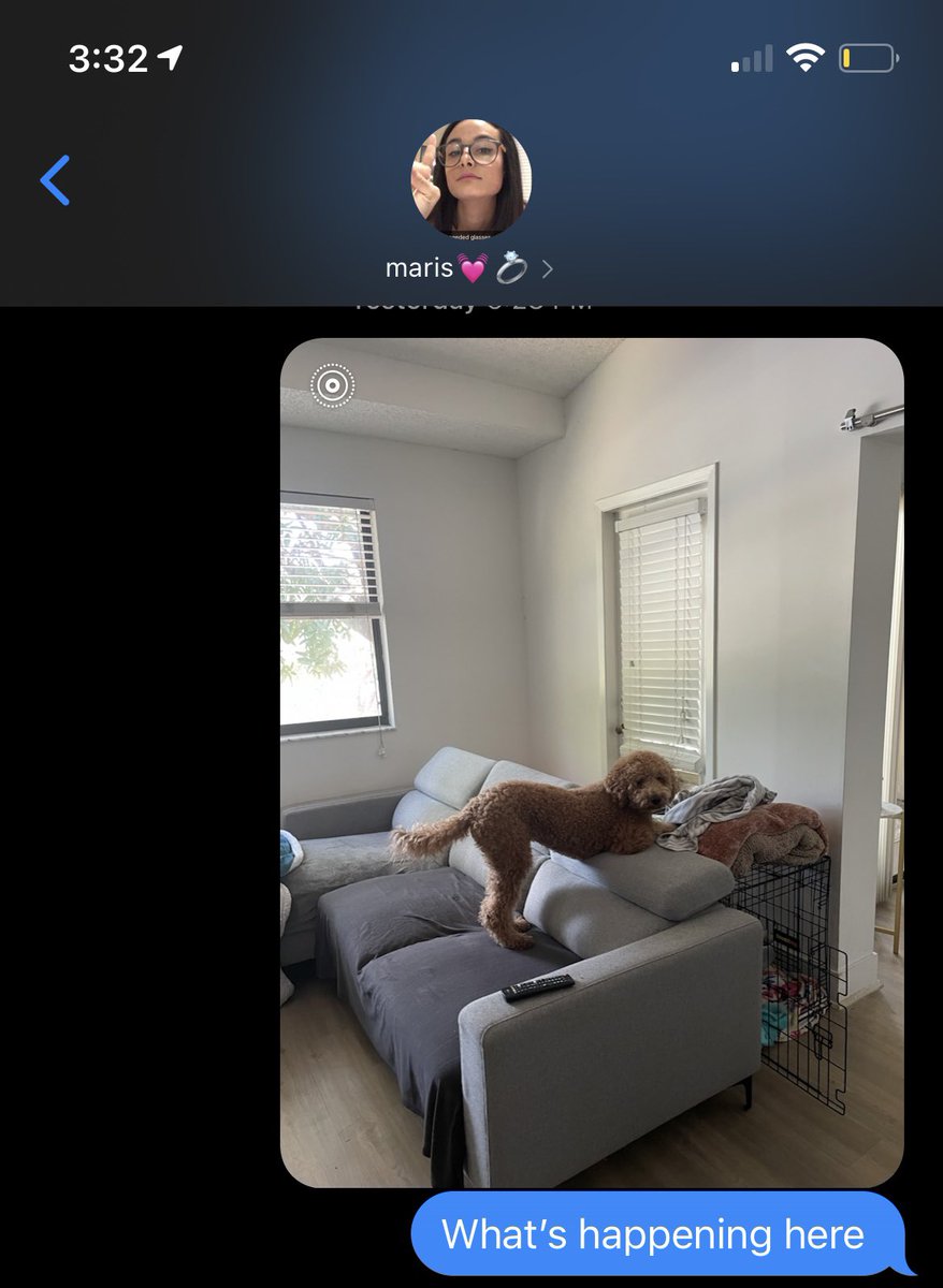 katlynmcQ's tweet photo. When Marissa is at school all day we don’t text regularly, I just send her random pictures of Kota throughout the day https://t.co/7sOyB5O2iS