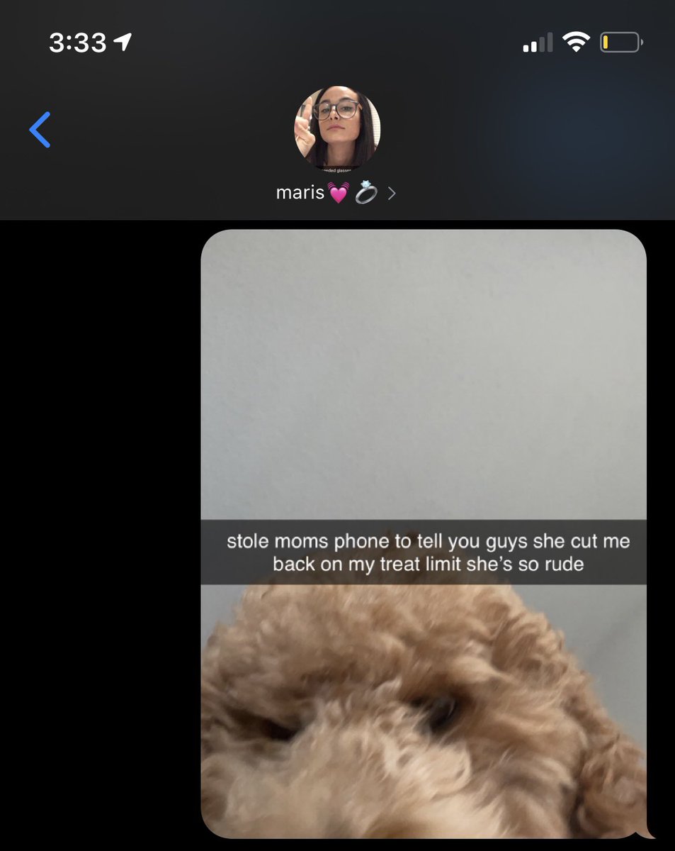katlynmcQ's tweet photo. When Marissa is at school all day we don’t text regularly, I just send her random pictures of Kota throughout the day https://t.co/7sOyB5O2iS