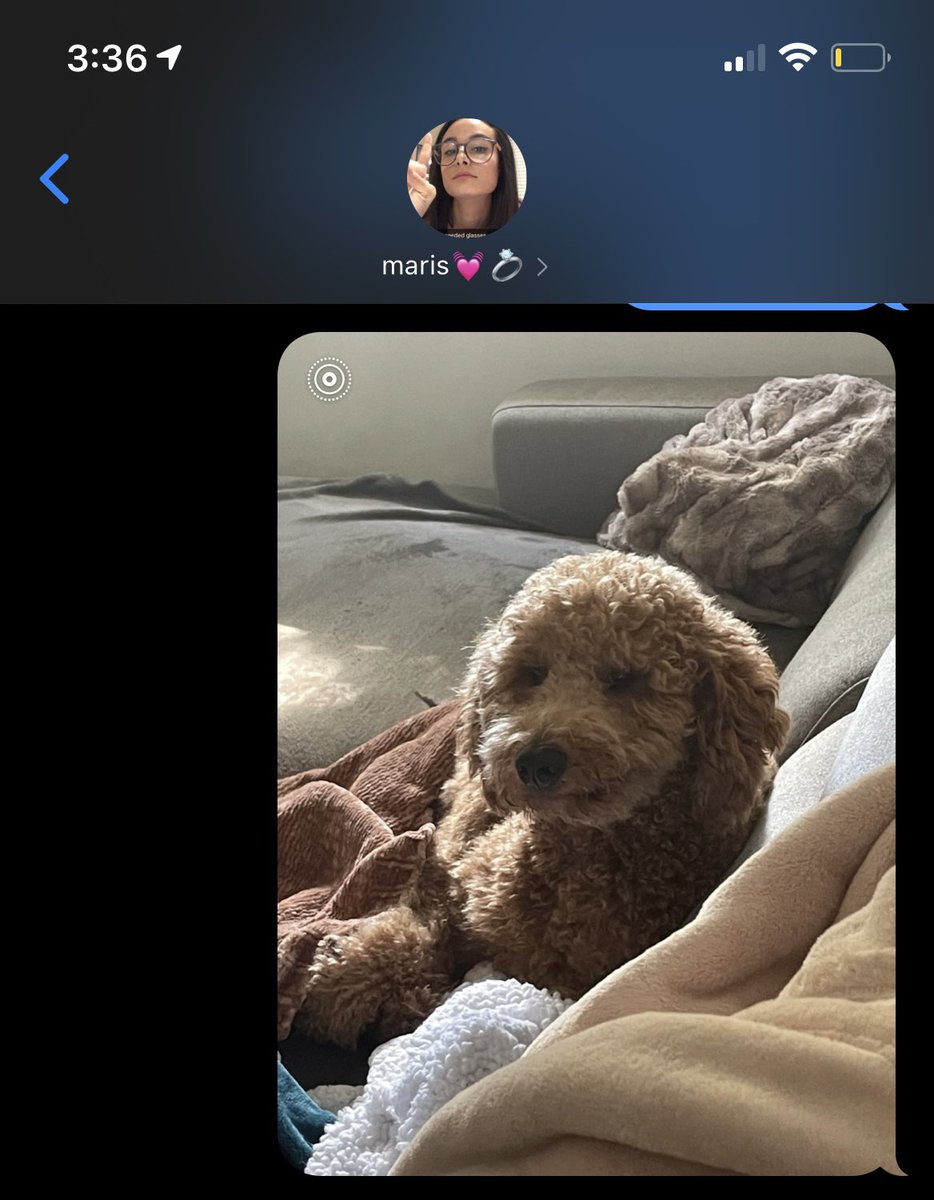 katlynmcQ's tweet photo. When Marissa is at school all day we don’t text regularly, I just send her random pictures of Kota throughout the day https://t.co/7sOyB5O2iS