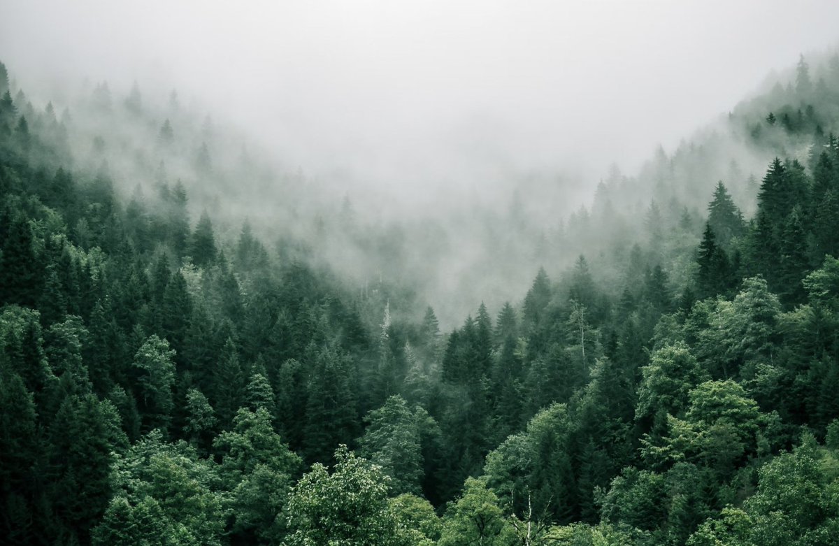 There are over 30 climate startups in the current <a href="/ycombinator/">Y Combinator</a>  W22 batch. You can learn about some of them here: ycombinator.com/companies/?bat…