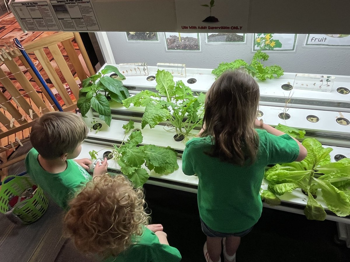 Region7EcoLand's tweet photo. “Play is our brain’s favorite way of learning.” - Diane Ackerman
Henderson FUMC PreK enjoyed playing and learning at EcoLand.  @Region7ESC https://t.co/7uDVNj8XU7