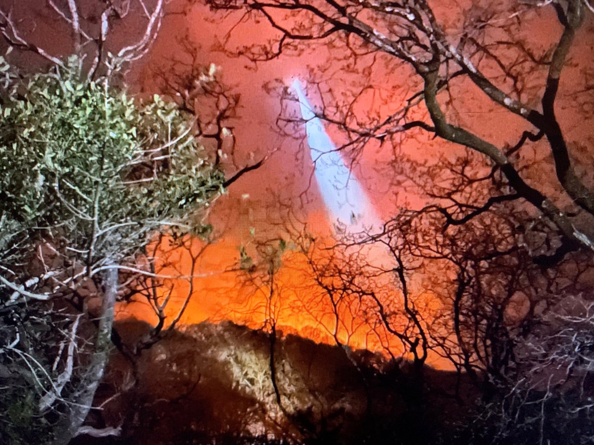 Some of the fires in North Wales in the last few days must be devastating for local wildlife. All from so called controlled burn. Please sign and share the petition to the Senedd. <a href="/IoloWilliams2/">Iolo Williams</a> <a href="/AlanDaviesbirds/">Alan Davies</a> <a href="/wildmoorsuk/">Wild Moors</a> @mikerraine <a href="/SnowdoniaFirstA/">Snowdonia First Aid</a> petitions.senedd.wales/petitions/2451…