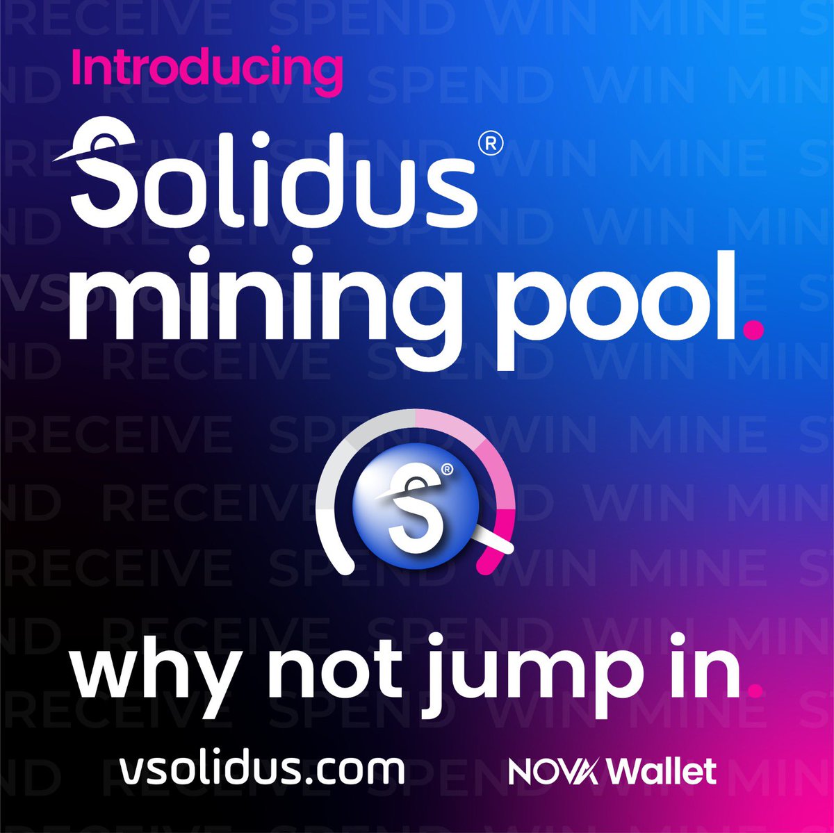 VSolidus® tweet media