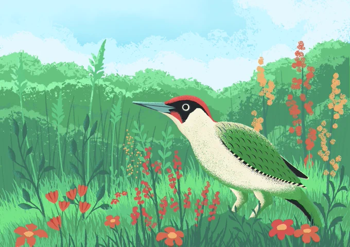 I can hear the birds sing every morning 🐦 