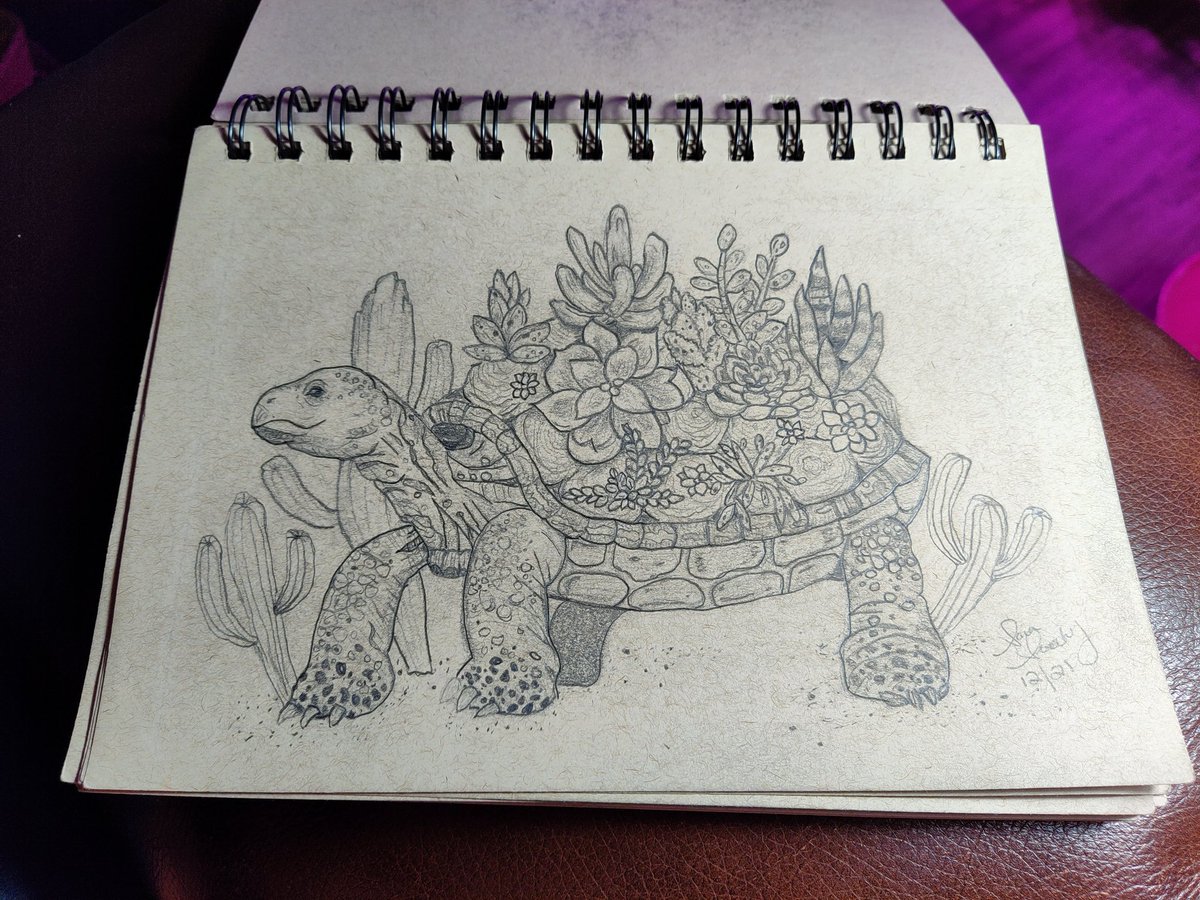 Sarashockney09's tweet photo. One of my favorite drawings I did! This shows 3 of my favorite things. My love of drawing, turtles, and succulents!! Let me know what you think! https://t.co/JBsQiESXmm