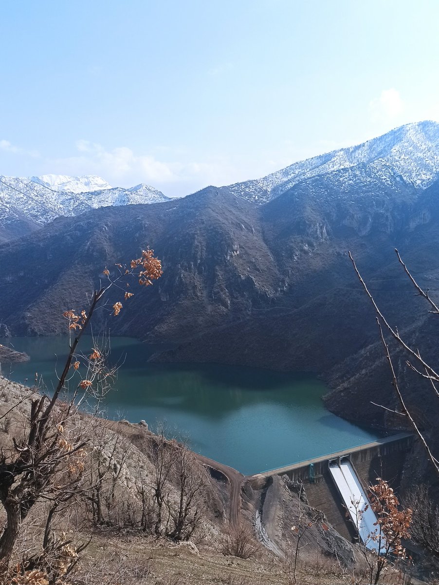 turanpadakk's tweet photo. #Birdem #güneşligünler ☀️ https://t.co/U8xHtO8wvi